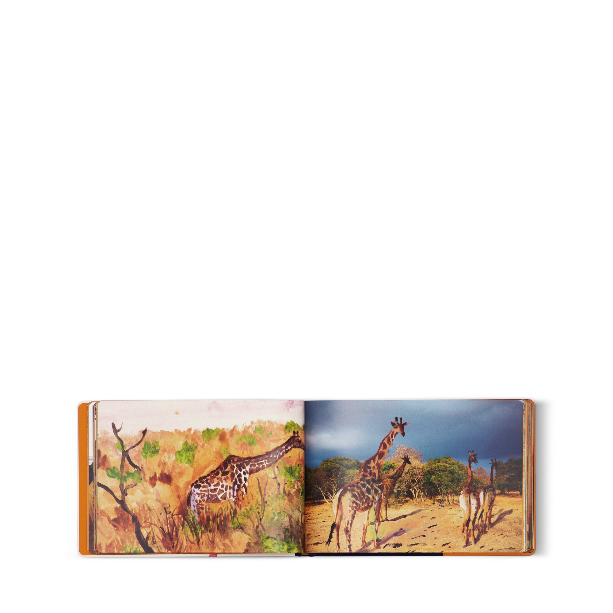  Library Travel Book Travel Book South Africa | Louis Vuitton ® (Product zoom)