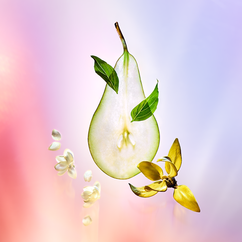 Collections Travel Travel Spray Refill Coeur Battant | Louis Vuitton ® (Product zoom)