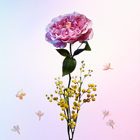 Collections Travel Travel Spray Refill Heures d'Absence | Louis Vuitton ® (Product zoom)