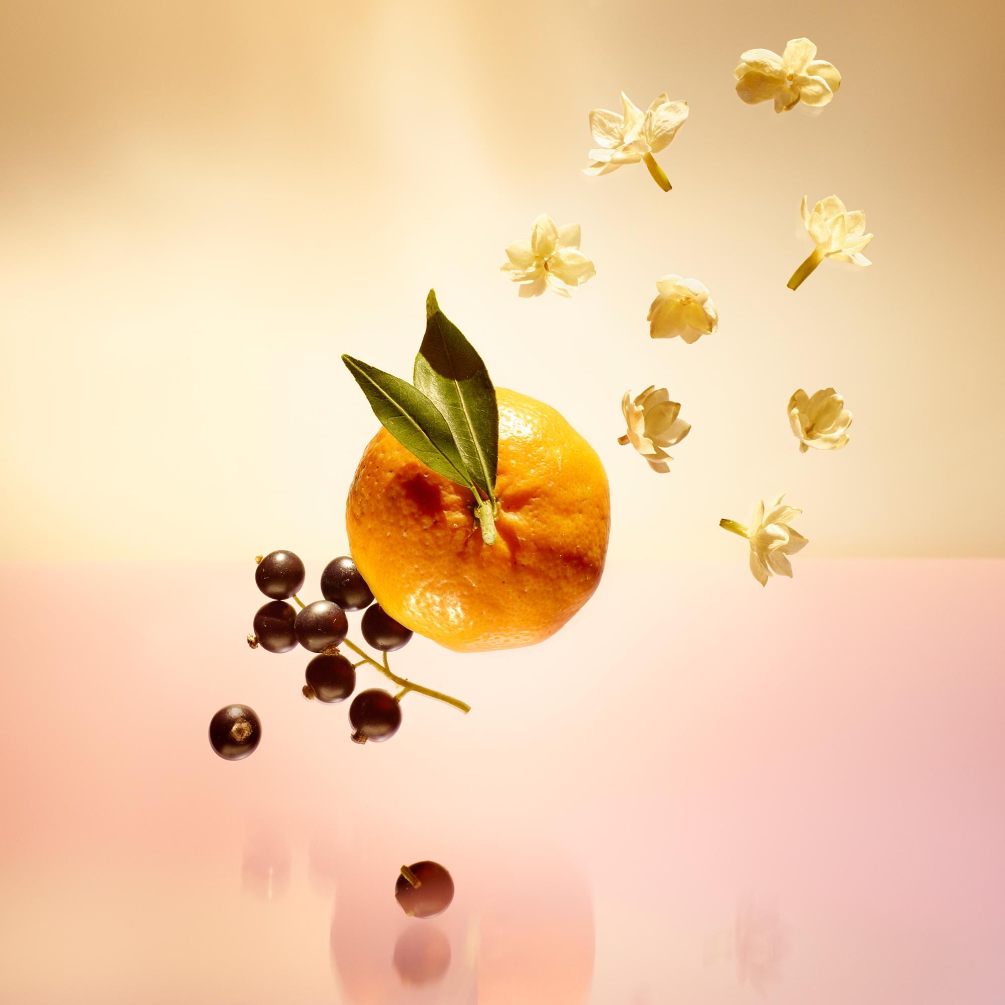  Collections Travel Travel Spray Refill Le Jour Se Lève | Louis Vuitton ® (Product zoom)