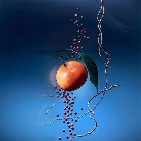 Collections Travel Travel Spray Refill Météore | Louis Vuitton ® (Product zoom)