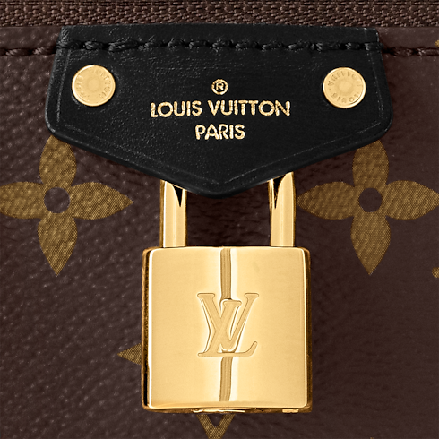 Monogram Reverse Small Leather Goods Wallets on Chain and Nano Bags Vanity Chain Pouch | Louis Vuitton ® (Product zoom)
