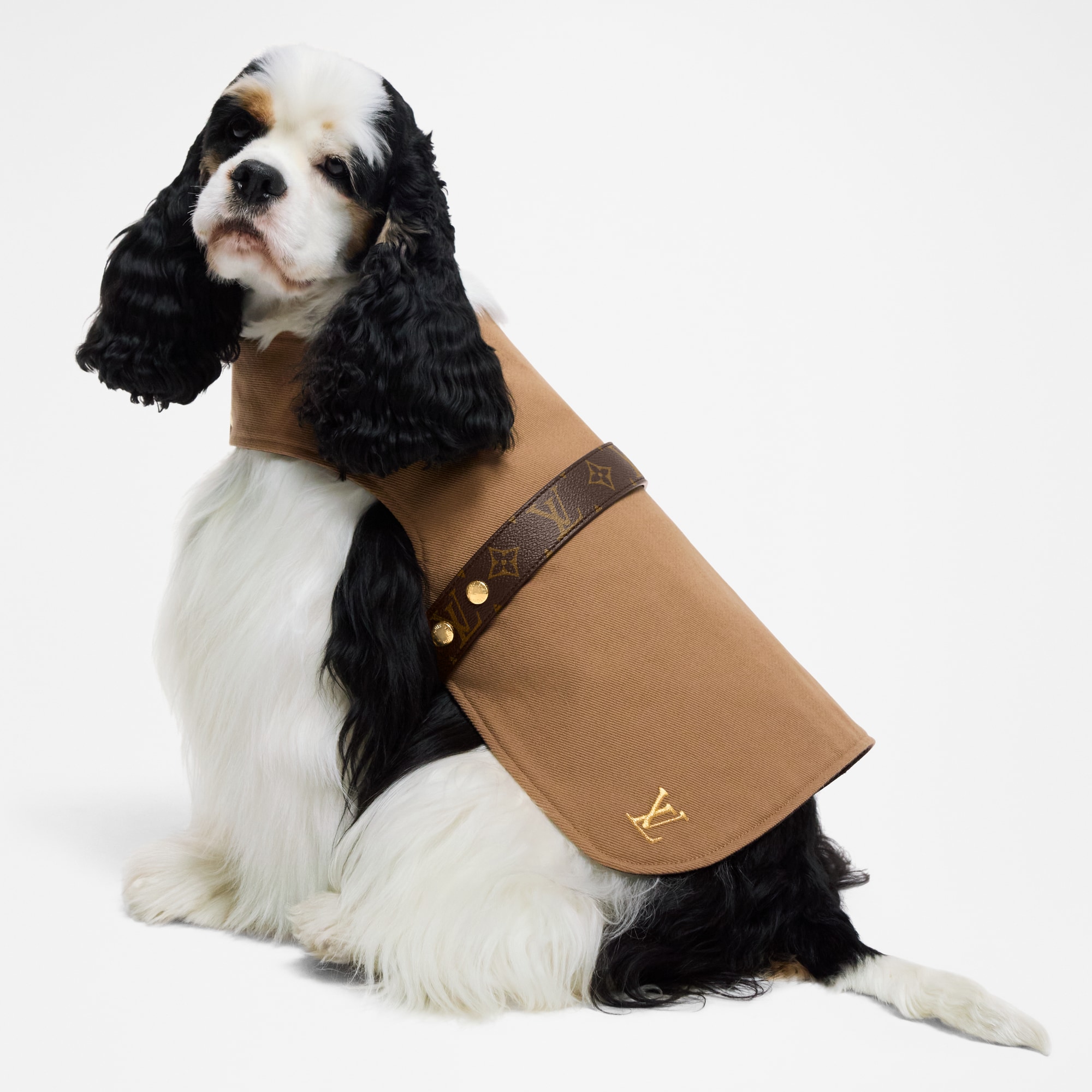  Pets Accessories } Waterproof dog coat MM | Louis Vuitton ® (Product zoom)