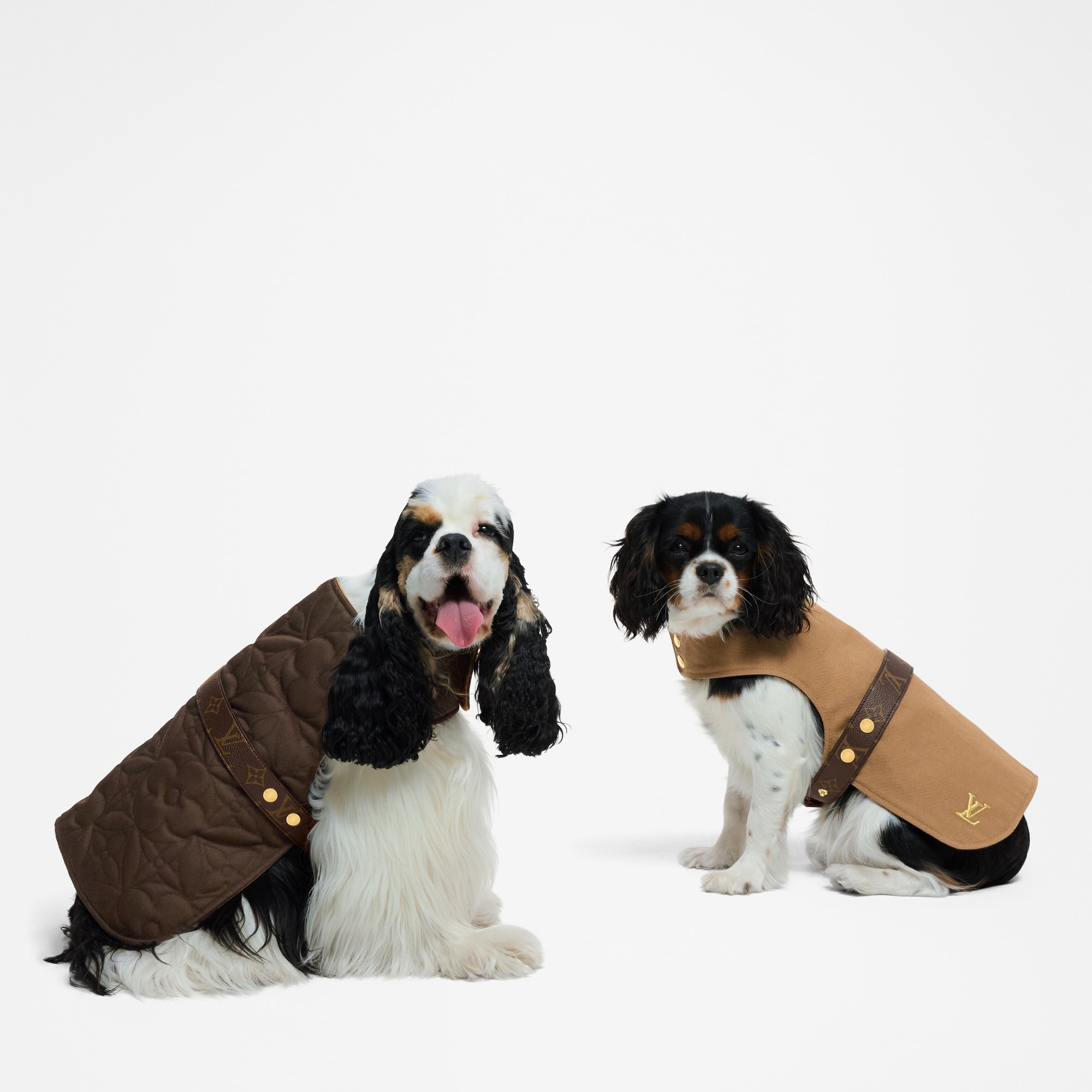  Pets Accessories } Waterproof dog coat MM | Louis Vuitton ® (Product zoom)