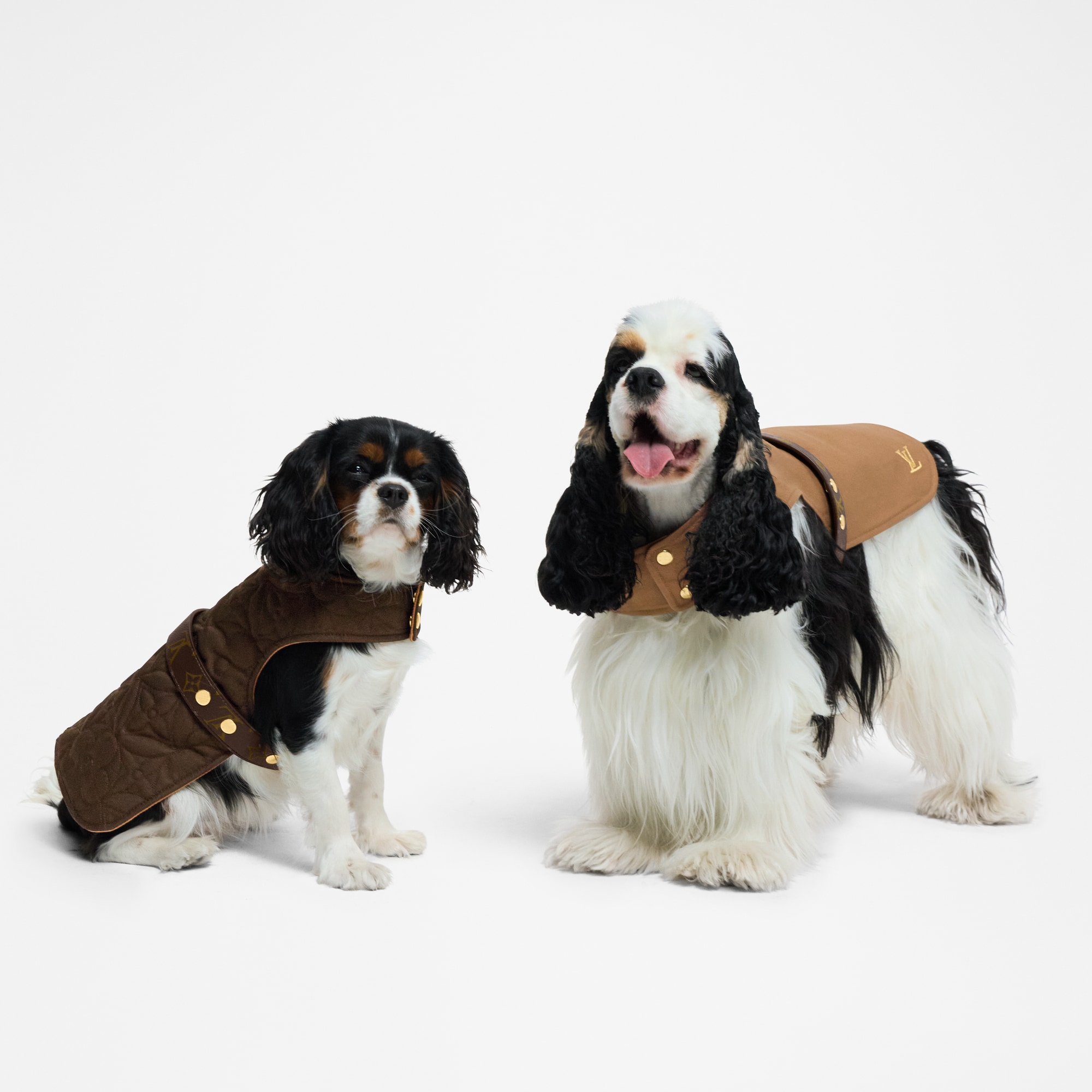  Pets Accessories } Waterproof dog coat PM | Louis Vuitton ® (Product zoom)