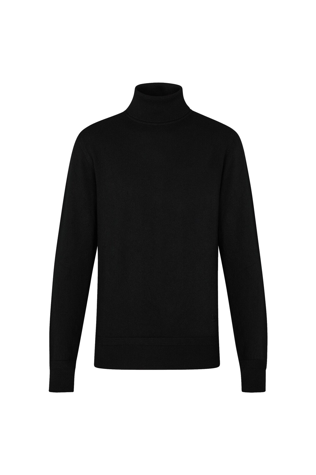 Cashmere Roll Neck sweater - MEN 