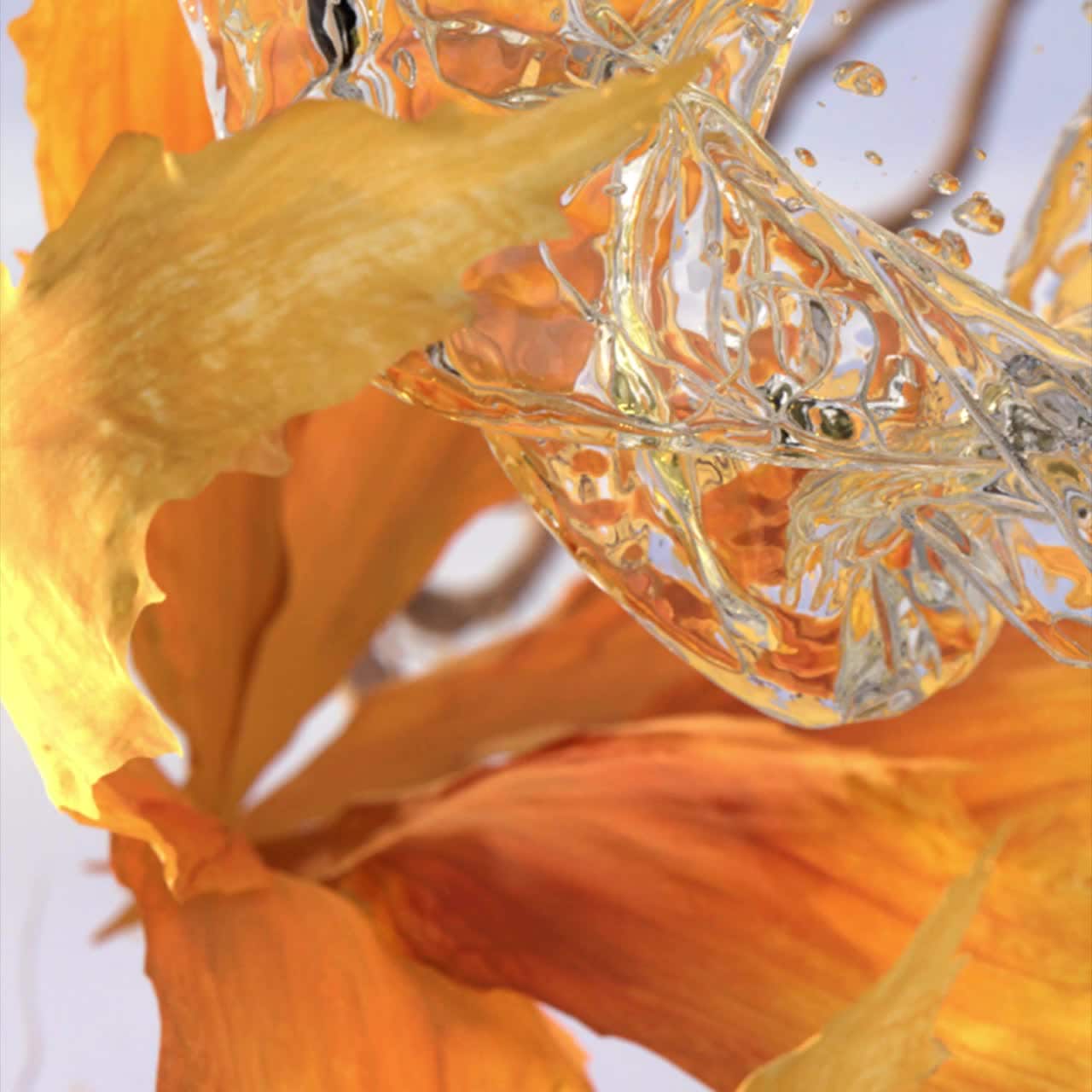 Louis Vuitton Rhapsody フレグランス　ラプソディ Rhapsody - Perfumes - Exceptional Creations | LOUIS VUITTON ®